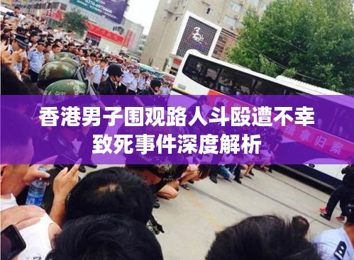香港男子围观路人斗殴遭不幸致死事件深度解析