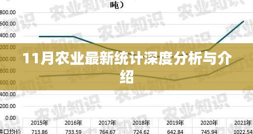 11月农业最新统计深度分析与介绍
