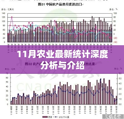 11月农业最新统计深度分析与介绍