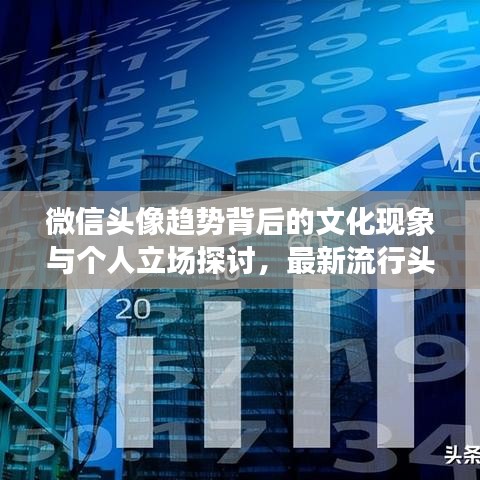 微信头像趋势背后的文化现象与个人立场探讨，最新流行头像与未来趋势预测