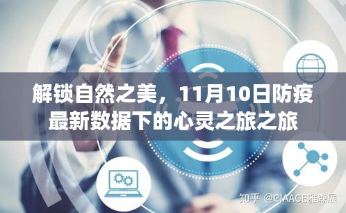 解锁自然之美，11月10日防疫最新数据下的心灵之旅之旅