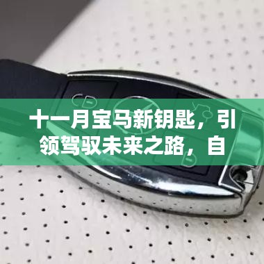 十一月宝马新钥匙,引领驾驭未来之路,自信成就与掌中之宝