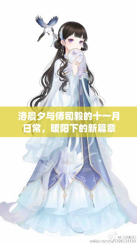 洛晨夕与傅司毅的十一月日常，暖阳下的新篇章