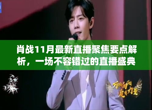 肖战11月最新直播聚焦要点解析，一场不容错过的直播盛典