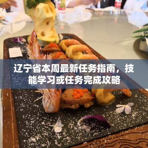辽宁省本周最新任务指南，技能学习或任务完成攻略