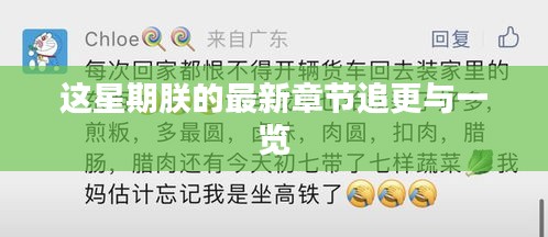 这星期朕的最新章节追更与一览