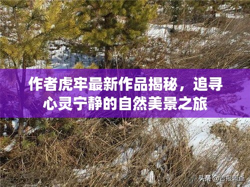 作者虎牢最新作品揭秘，追寻心灵宁静的自然美景之旅