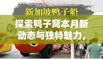 探索鸭子窝本月新动态与独特魅力，最新趋势一网打尽