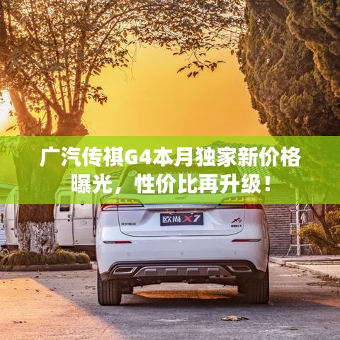 优秀摄影 第355页