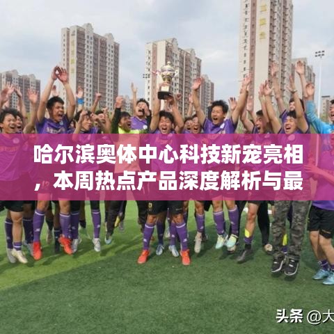 关于我们 第361页