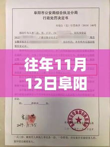 往年11月12日阜阳东三环最新消息深度解析与评测报告