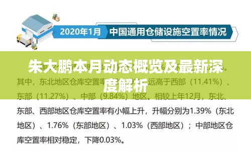 朱大鹏本月动态概览及最新深度解析