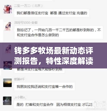 钱多多牧场最新动态评测报告，特性深度解读与目标用户分析揭秘最新动态