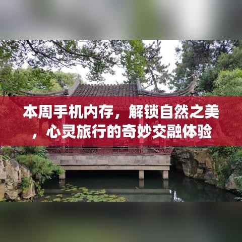 本周手机内存，解锁自然之美，心灵旅行的奇妙交融体验