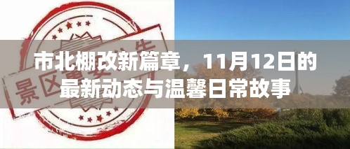 市北棚改新篇章，11月12日的最新动态与温馨日常故事