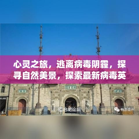 心灵之旅，逃离病毒阴霾，探寻自然美景，探索最新病毒英文报道