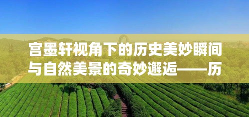 宫墨轩视角下的历史美妙瞬间与自然美景的奇妙邂逅——历史上的那些美妙瞬间之宫墨轩最新篇（11月12日）