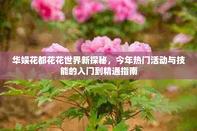 华娱花都花花世界新探秘，今年热门活动与技能的入门到精通指南