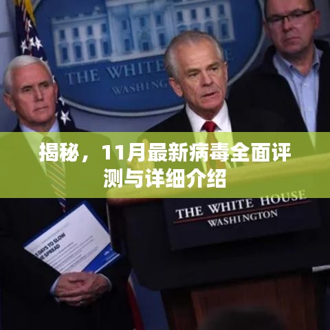 揭秘，11月最新病毒全面评测与详细介绍