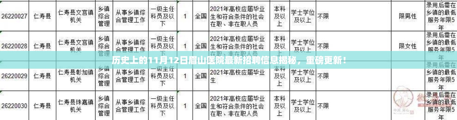 历史上的11月12日眉山医院最新招聘信息揭秘，重磅更新！