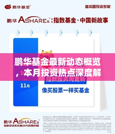 鹏华基金最新动态概览，本月投资热点深度解析
