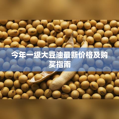走马观花 第5页