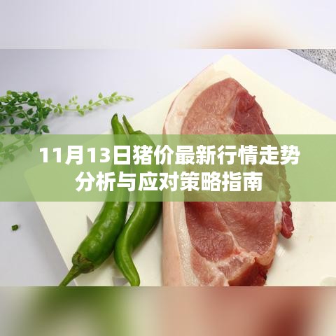 11月13日猪价最新行情走势分析与应对策略指南