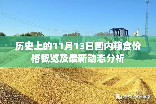 历史上的11月13日国内粮食价格概览及最新动态分析