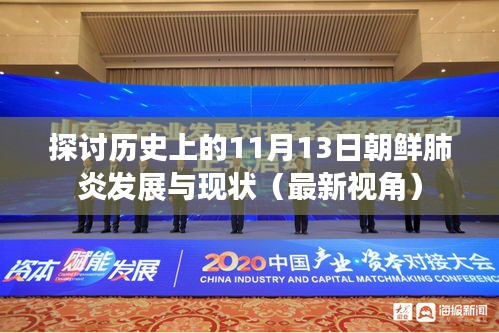 探讨历史上的11月13日朝鲜肺炎发展与现状（最新视角）