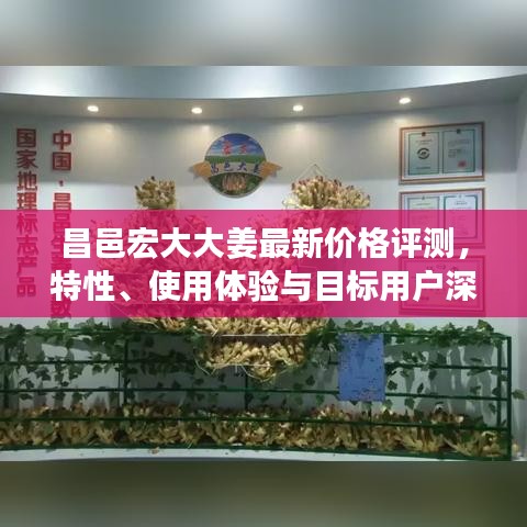 关于我们 第358页