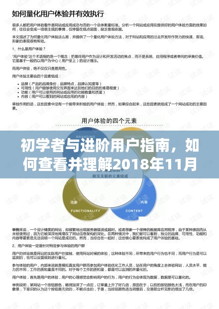 初学者与进阶用户指南，如何查看并理解2018年11月13日快手最新排名