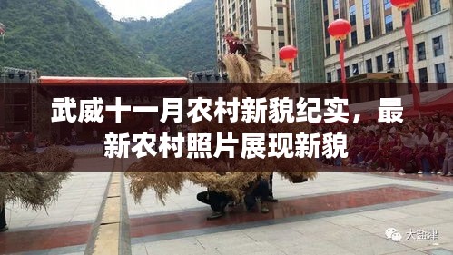 武威十一月农村新貌纪实，最新农村照片展现新貌