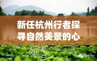 新任杭州行者探寻自然美景的心灵之旅，十一月最新任命之旅