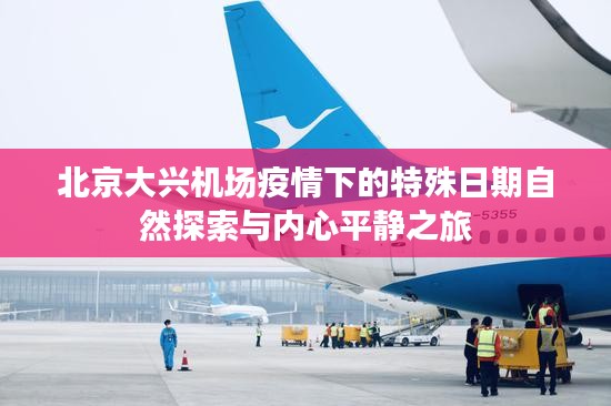 北京大兴机场疫情下的特殊日期自然探索与内心平静之旅