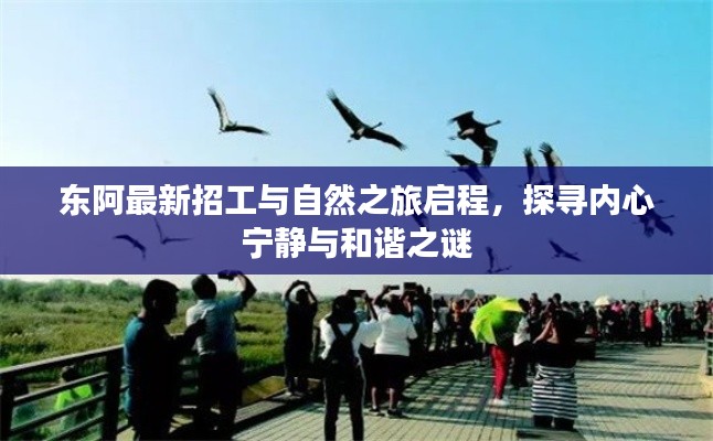 改弦更张 第6页