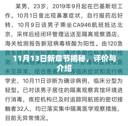 11月13日新章节揭秘，评价与介绍