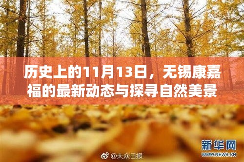 历史上的11月13日，无锡康嘉福的最新动态与探寻自然美景之旅