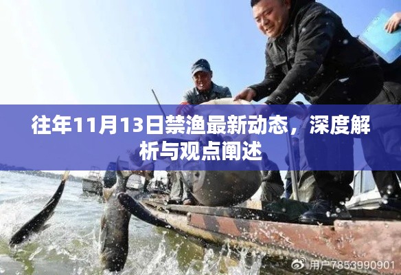 往年11月13日禁渔最新动态，深度解析与观点阐述