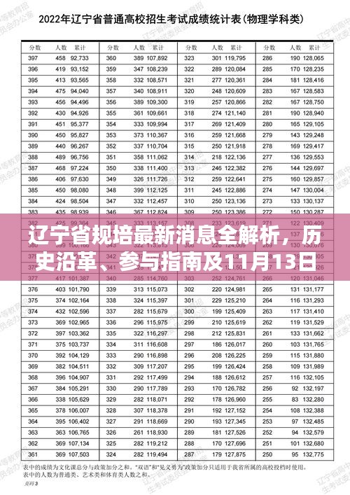 辽宁省规培最新消息全解析，历史沿革、参与指南及11月13日关注点