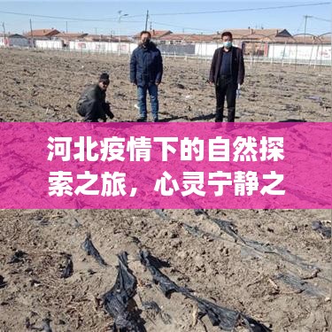 关于我们 第357页