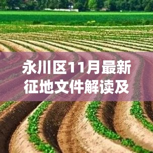 永川区11月最新征地文件解读及操作指南
