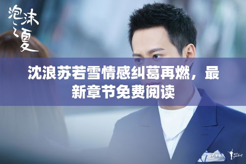 沈浪苏若雪情感纠葛再燃，最新章节免费阅读