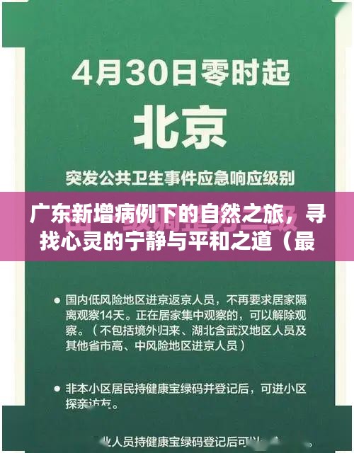 广东新增病例下的自然之旅,寻找心灵的宁静与平和之道(最新全国数据)