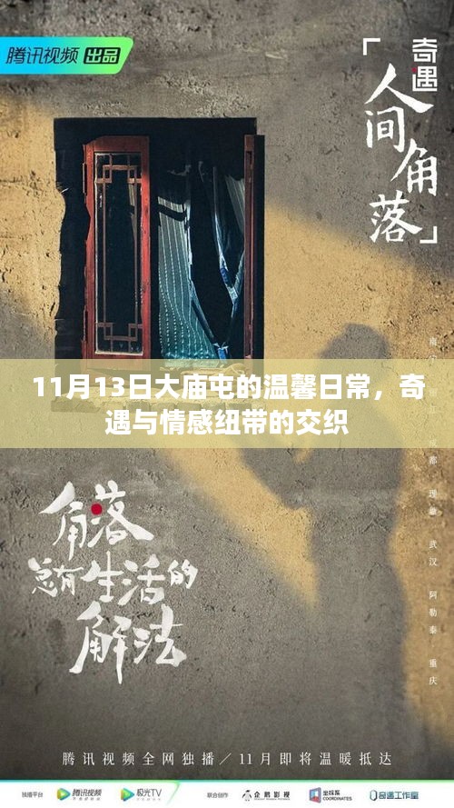 11月13日大庙屯的温馨日常，奇遇与情感纽带的交织
