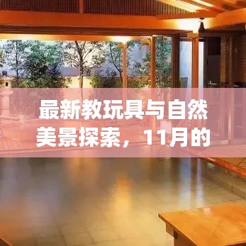 最新教玩具与自然美景探索，11月的心灵宁静之旅