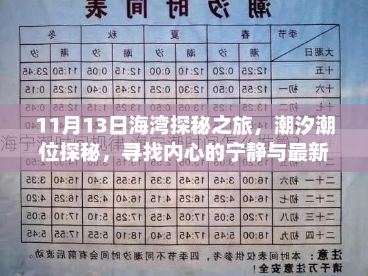 11月13日海湾探秘之旅，潮汐潮位探秘，寻找内心的宁静与最新潮位表揭秘