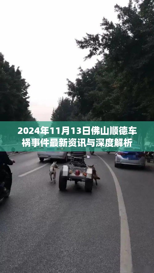 2024年11月13日佛山顺德车祸事件最新资讯与深度解析