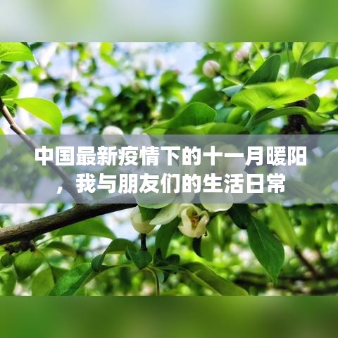 中国最新疫情下的十一月暖阳，我与朋友们的生活日常