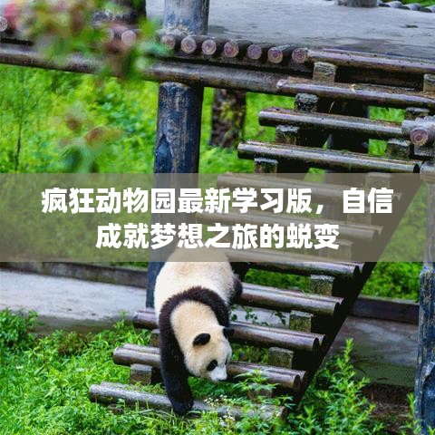 疯狂动物园最新学习版，自信成就梦想之旅的蜕变