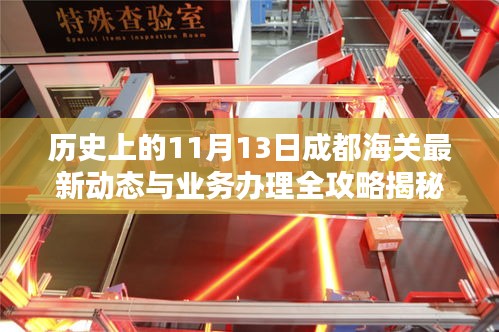 历史上的11月13日成都海关最新动态与业务办理全攻略揭秘